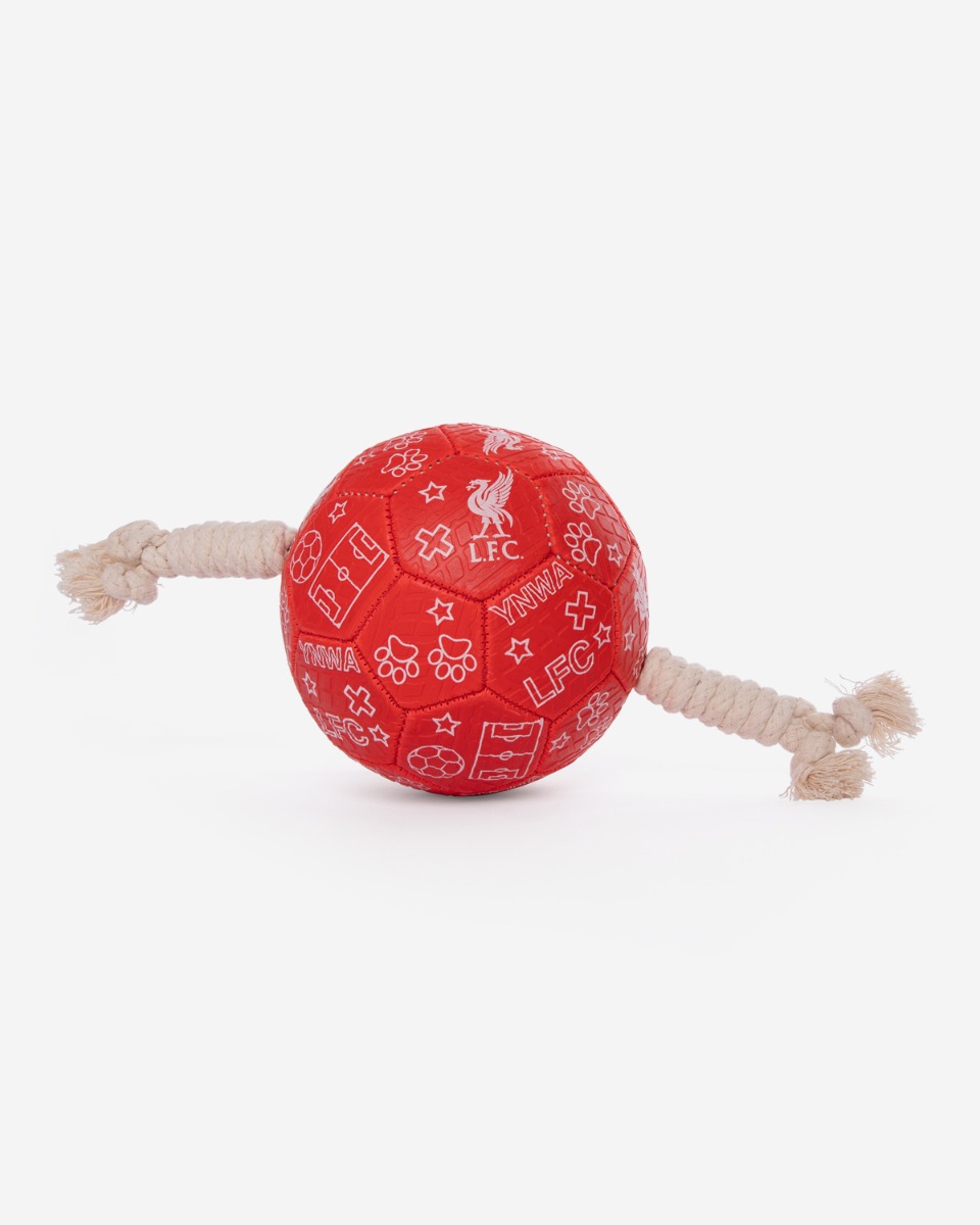 LFC Dog Football O